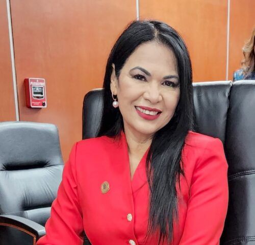 PLANTEA DIPUTADA CORRAL, FORTALECER SISTEMA DE PENSIONES Y JUBILACIONES