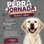 INVITAN IMJUVET E IMBAT A PARTICIPAR EN JORNADA DE LIMPIEZA EN FAVOR DEL BIENESTAR ANIMAL