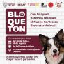 CONVOCAN AL “BLOQUETÓN” PARA CONSTRUIR EL NUEVO CENTRO DE BIENESTAR ANIMAL EN TECATE