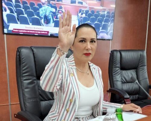 PROPONE DIPUTADA ARACELI GERALDO IDENTIFICACIÓN VISIBLE PARA TRANSPORTE DE PLATAFORMAS DIGITALES