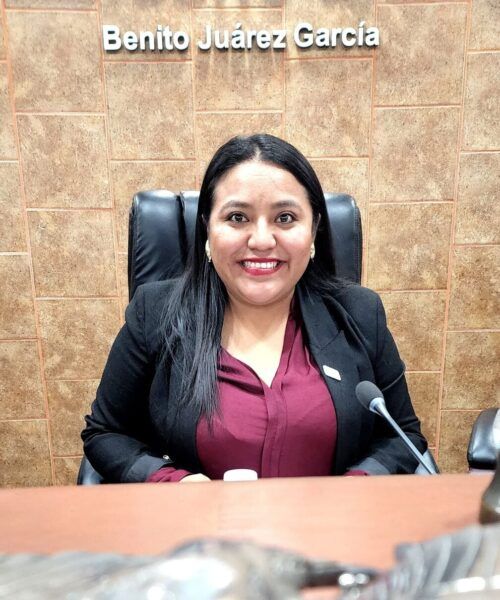 PROPONEN REFORMA EN MATERIA DE INCLUSIÓN Y ACCESIBILIDAD A PERSONAS DE TALLA BAJA