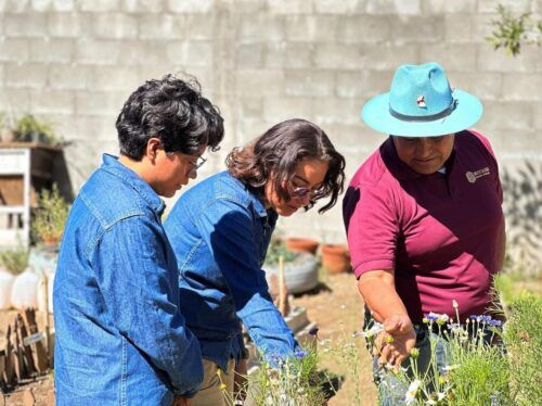 DIF TECATE IMPULSA LA COLABORACIÓN COMUNITARIA CON TEQUIO DEL HUERTO “ABEJAS EN AXIÓN”