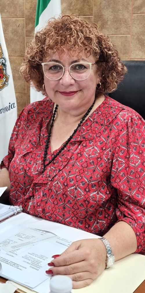 INICIATIVA DE LA DIP. MAYTHÉ MÉNDEZ BUSCA FRENAR INDIFERENCIA DE AUTORIDADES ANTE EXHORTOS DEL CONGRESO
