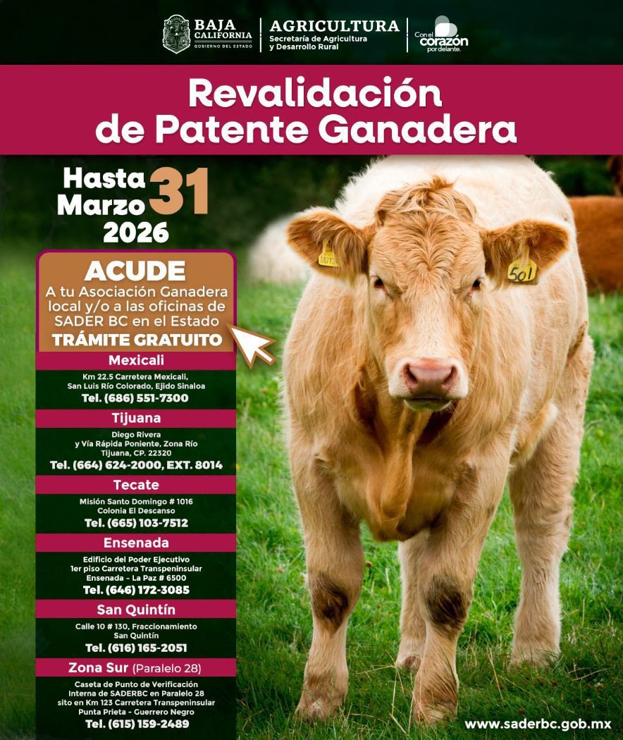 INVITA GOBIERNO DEL ESTADO DE BAJA CALIFORNIA A RENOVAR PATENTE GANADERA Y COMERCIAL