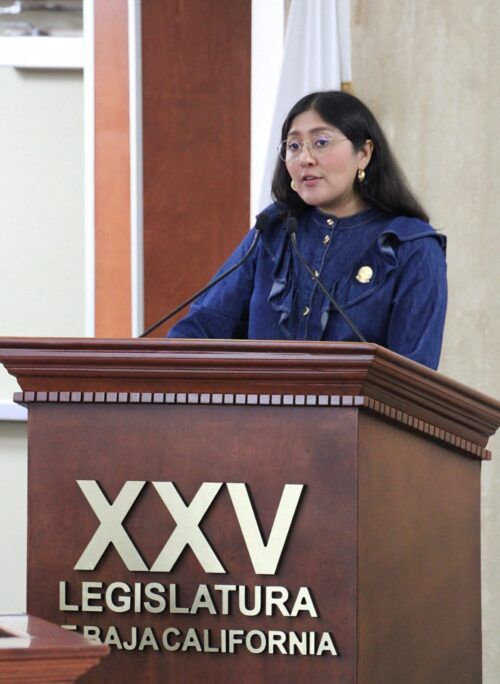 DIPUTADA MICHEL SÁNCHEZ ALLENDE PROPONE AMPLIAR PROTECCIÓN CONTRA VIOLENCIA DIGITAL CON USO DE IA