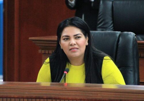 MALTRATO OBSTÉTRICO ES VIOLENCIA DE GÉNERO Y TAMBIÉN INSTITUCIONAL: DIPUTADA MONTSE MURILLO