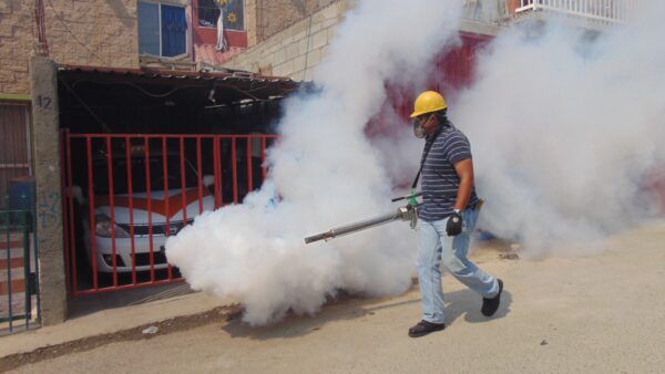 EXHORTA COEPRIS BC A EMPRESAS FUMIGADORAS A CONTAR CON LOS REQUISITOS QUE MARCA LA LEY