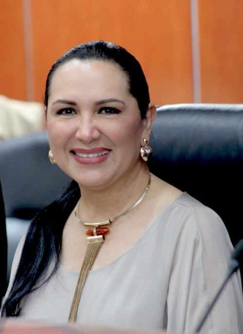 PROPONE DIPUTADA ARACELI GERALDO SANCIONAR EL CIBER ACOSO CONTRA NIÑAS, NIÑOS Y ADOLESCENTES