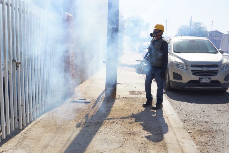 BC NO PRESENTA CASOS DE ENCEFALITIS DEL VIRUS DE SAN LUIS; SE REFUERZAN ACCIONES PREVENTIVAS