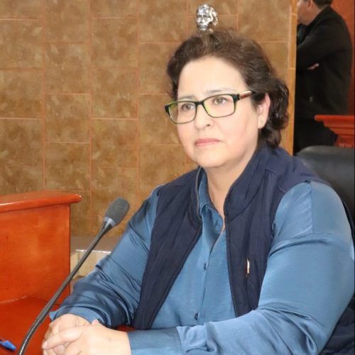 POBLACIÓN VULNERABLE DEBE SER PRIORIDAD DENTRO DEL PRESUPUESTO 2023: DIPUTADA ADAME