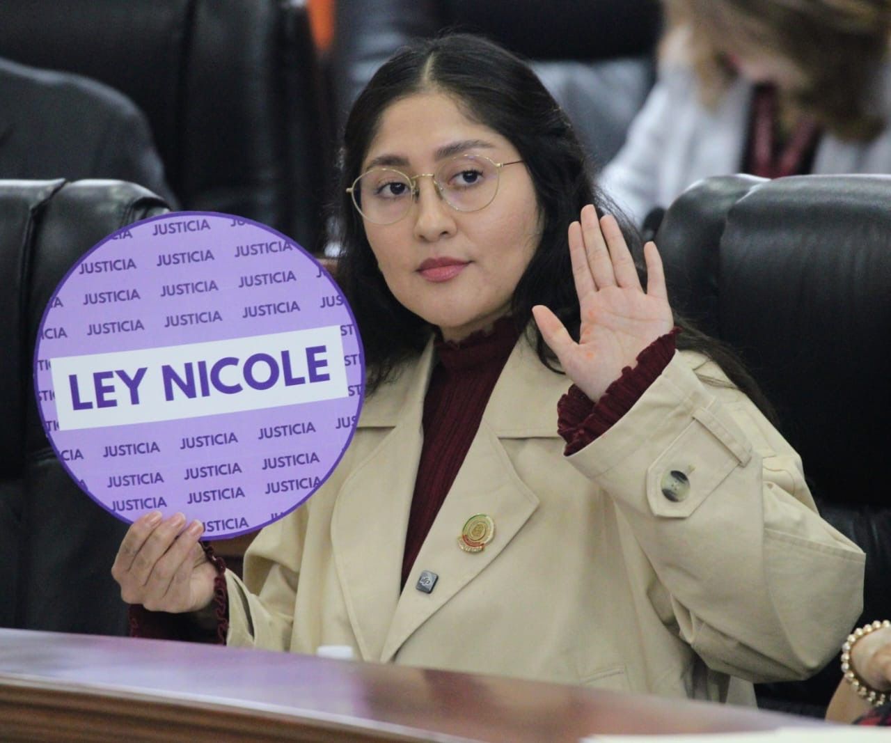 LLAMA DIPUTADA MICHEL SÁNCHEZ AL CONGRESO DE LA UNIÓN Y AL SENADO A APROBAR LA “LEY NICOLE”