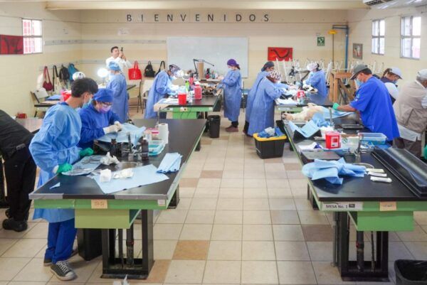 SE FORTALECEN LAS ACCIONES DE ESTERILIZACIÓN CANINA Y FELINA EN BAJA CALIFORNIA: MÁS DE 18 MIL PROCEDIMIENTOS REALIZADOS