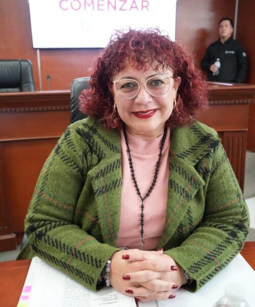 PIDE DIP. MAYTHÉ MÉNDEZ REVISIÓN URGENTE DE LUMINARIAS EN FRACC. CIUDAD VALLE DE LAS PALMAS