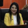 PIDE DIPUTADA ALEJANDRINA CORRAL REFORZAR LABORES DE LIMPIEZA Y MANTENIMIENTO DE ESPACIOS PÚBLICOS