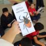 TECATE: REFUERZAN ACCIONES PREVENTIVAS CONTRA LA RICKETTSIOSIS EN ZONAS DE RIESGO