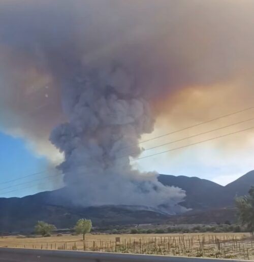 REGISTRA 40% DE CONTROL INCENDIO FORESTAL EN EL “CERRO BOLA”, TECATE