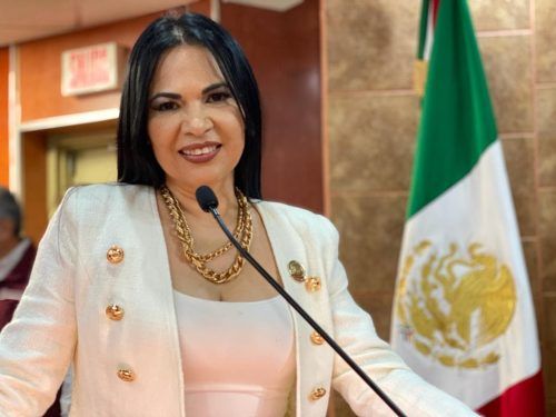 PROPONE DIPUTADA ALEJANDRINA CORRAL CONSOLIDAR Y GARANTIZAR EL DERECHO DE PETICIÓN