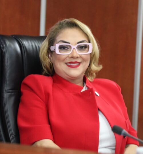 DIP. TERE RUIZ PROPONE EXPULSIÓN DE EXTRANJEROS SENTENCIADOS POR VIOLENCIA CONTRA MUJERES