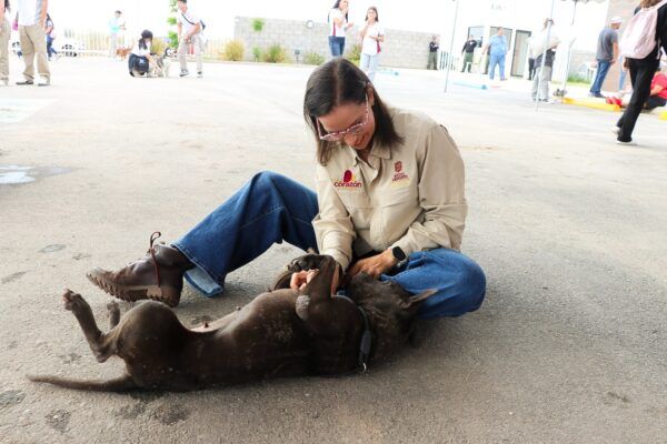 JUVENTUDES ACUDEN A SANTUARIO ANIMAL MILY PARA VIVIR JORNADA DE VOLUNTARIADO
