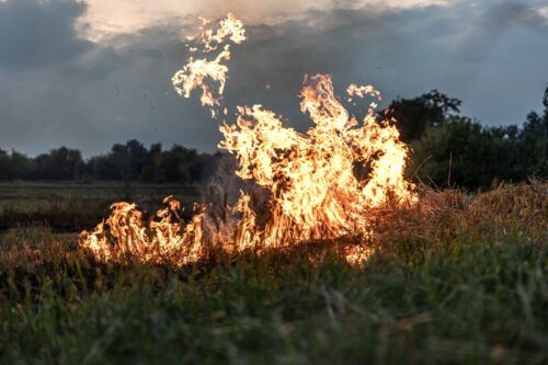 EMITEN RECOMENDACIONES PARA PREVENIR INCENDIOS