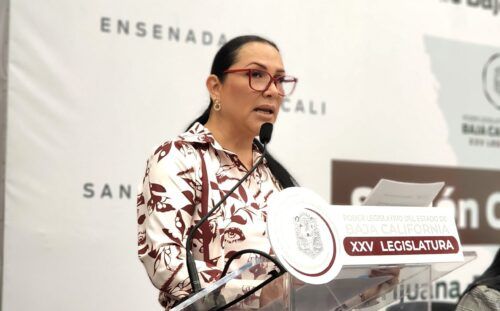 APRUEBA CONGRESO REFORMA PARA INHIBIR LA VIOLENCIA CONTRA ADULTOS MAYORES