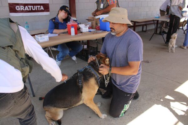 REFUERZAN VACUNACIÓN Y DESPARASITACIÓN DE MASCOTAS EN COLONIAS VULNERABLES