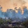 SUMAN 16 MIL HECTAREAS AFECTADAS POR INCENDIOS: GOBIERNO MUNICIPAL