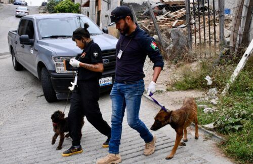 RESCATAN A DOS CANINOS EN CONDICIONES DE CRUELDAD, TRAS CATEO