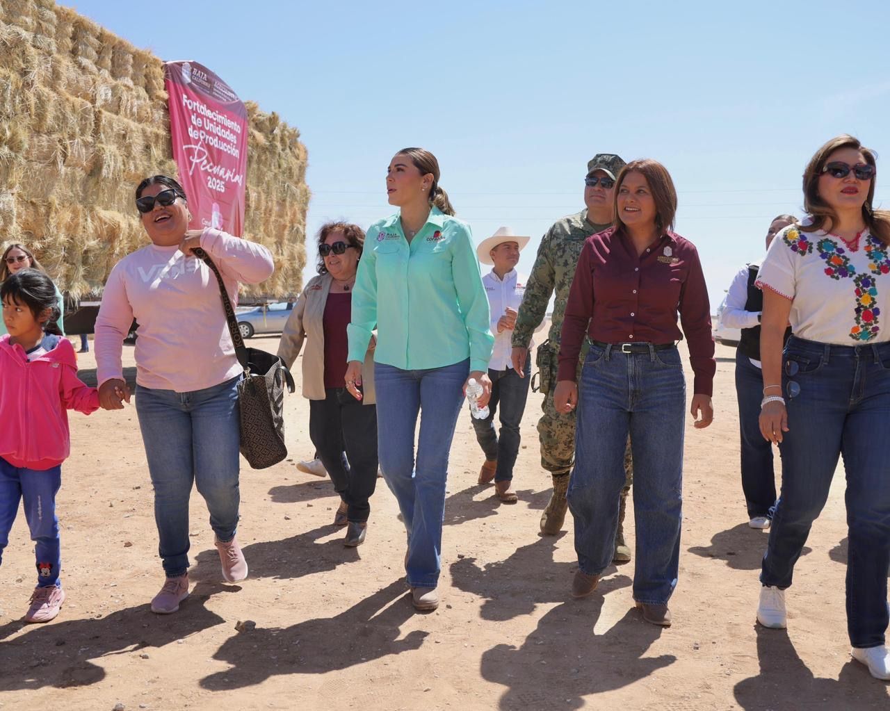 IMPULSA MARINA DEL PILAR DESARROLLO TURÍSTICO Y PRODUCTIVO EN EL SUR PROFUNDO DE BAJA CALIFORNIA