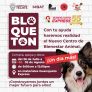 MAÑANA DOMINGO ÚLTIMA OPORTUNIDAD PARA SUMARSE AL BLOQUETÓN