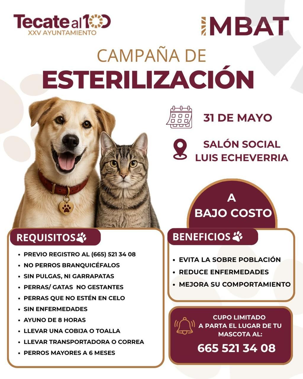 GOBIERNO DE TECATE INVITA A PARTICIPAR EN CAMPAÑA DE ESTERILIZACIÓN A BAJO COSTO