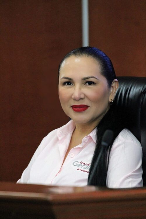 APRUEBAN INICIATIVA DE LA DIPUTADA ARACELI GERALDO PARA AMPLIAR LA PROTECCIÓN DE PERSONAS CON AUTISMO