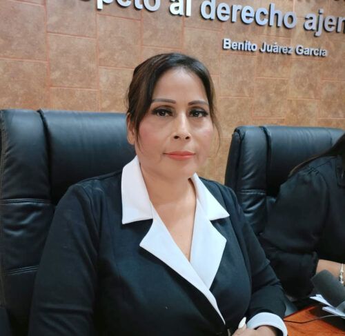 DIP. CLAUDIA AGATÓN PROPONE QUE SE IMPLEMENTEN ESTRATEGIAS PARA ERRADICAR EL MALTRATO ANIMAL