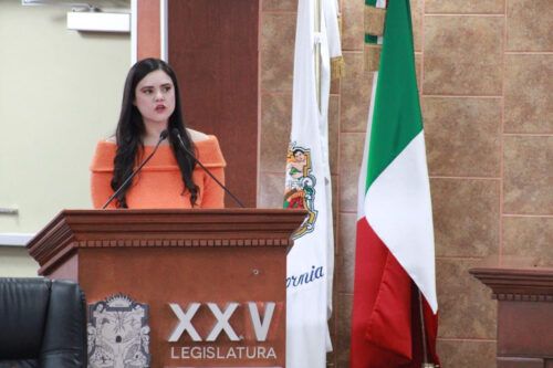 DIPUTADA DAYLÍN GARCÍA PLANTEA REFORMA PARA PROTEGER A LAS MASCOTAS