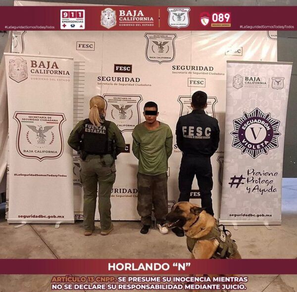 DETIENEN ESCUADRÓN VIOLETA Y K9 DE FESC A DOS HOMBRES POR VIOLENCIA FAMILIAR