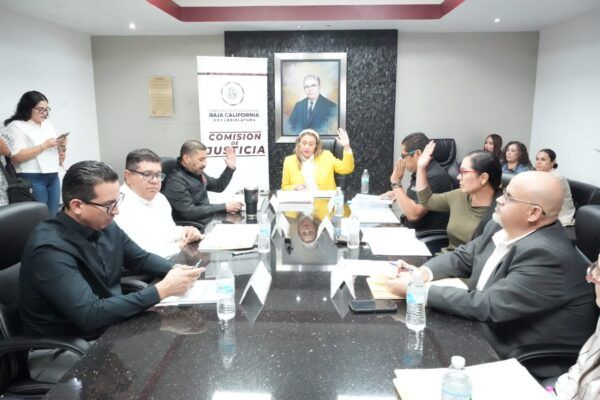 APRUEBAN INICIATIVAS RELATIVAS A LOS CÓDIGOS PENAL Y CIVIL Y A LA LEY ORGÁNICA DEL REGISTRO CIVIL