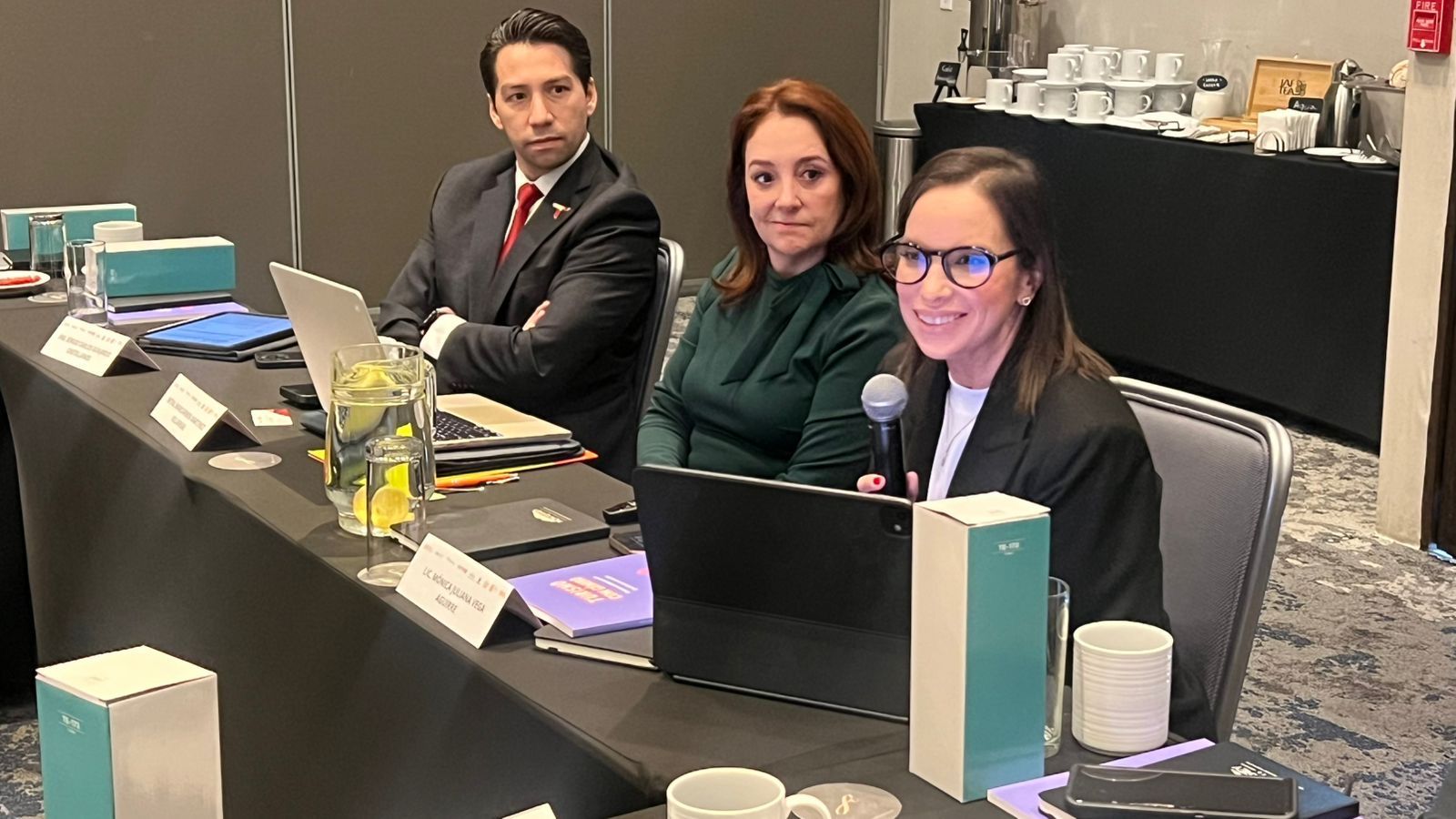 ACUDE MÓNICA VEGA A REUNIÓN INTERINSTITUCIONAL PARA IMPULSAR MEJORAS AMBIENTALES A NIVEL NACIONAL