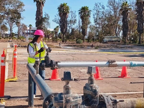 PRIMERA GENERACIÓN “CASCOS ROSAS” EN BAJA CALIFORNIA