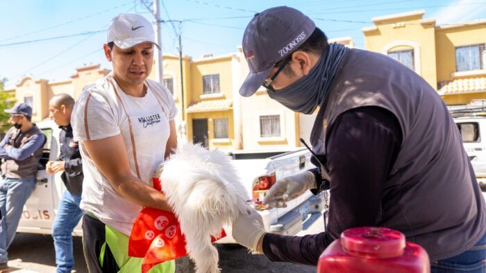 APLICA MÁS DE 110 MIL DOSIS DE VACUNACIÓN ANTIRRÁBICA PROGRAMA DE ZOONOSIS DE LA SECRETARÍA DE SALUD