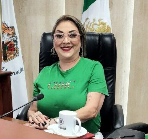 DIP. TERE RUIZ PROPONE LEY ESTATAL PARA LA COMERCIALIZACIÓN Y USO RESPONSABLE DE DRONES