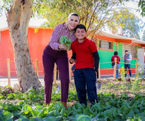 IMPULSA LA SALUD ALIMENTARIA GOBIERNO DE MARINA DEL PILAR CON HUERTOS ESCOLARES Y COMUNITARIOS