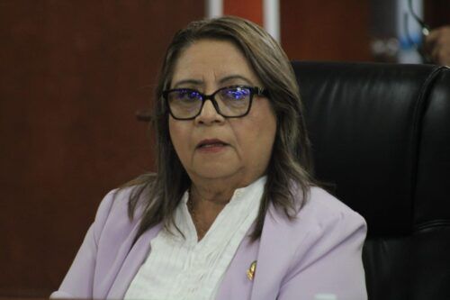 PRESENTAN INICIATIVA CON BENEFICIOS PARA LA GOBERNANZA, LA ECONOMÍA Y LA CIUDADANÍA