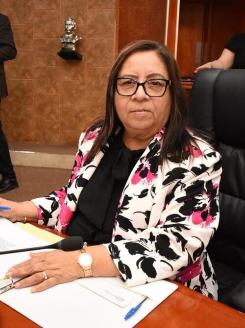 PROPONE DIPUTADA GLORIA MIRAMONTES QUE PARQUES URBANOS SEAN INCLUSIVOS