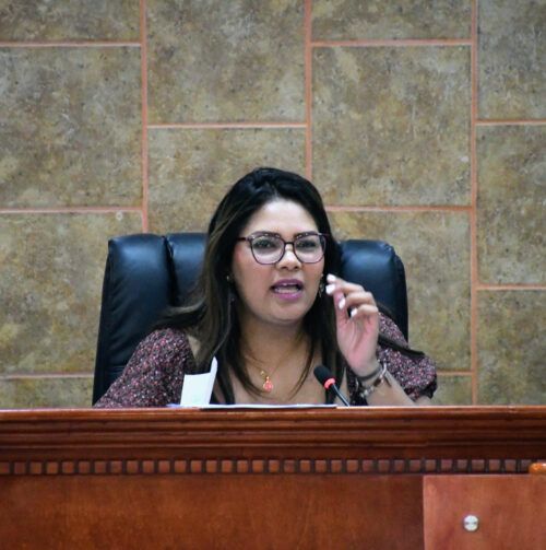 PROPONE DIP. MONTSE MURILLO QUE ESTUDIANTES ACCEDAN A CONTRATACIONES LABORALES DURANTE PRÁCTICAS PROFESIONALES