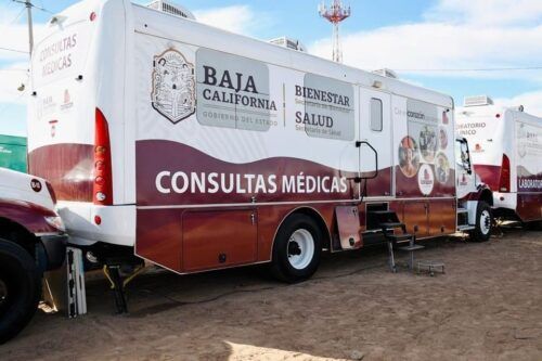 ES NECESARIO EL DIAGNÓSTICO OPORTUNO DE RICKETTSIOSIS PARA SALVAR VIDAS: SECRETARÍA DE SALUD BC