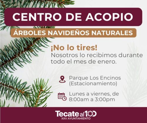 TECATE TENDRÁ CENTRO DE ACOPIO PARA ÁRBOLES DE NAVIDAD NATURALES