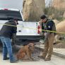 EJECUTAN CATEO Y RESCATA A CANINO VÍCTIMA DE MALTRATO ANIMAL EN TECATE