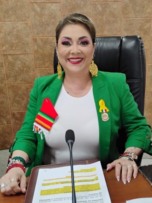 DIP. TERE RUIZ ALZA LA VOZ: LAS PLAYAS SON DEL PUEBLO, NO DE LA ÉLITE