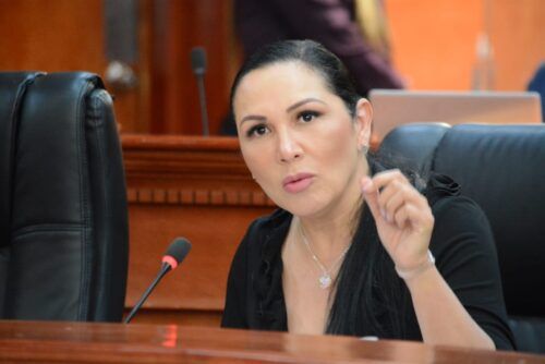 DIPUTADA ARACELI GERALDO PIDE CERRAR FILAS CONTRA EL BULLYING EN LAS ESCUELAS