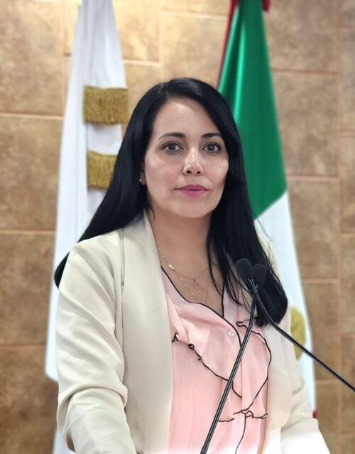 EMITE DIPUTADA MAYOLA GAONA POSICIONAMIENTO RELATIVO A LA FUMIGACIÓN EN EL VERANO